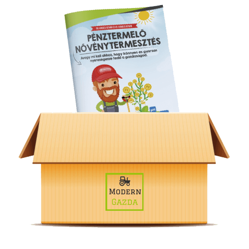 A könyv belső tartalma