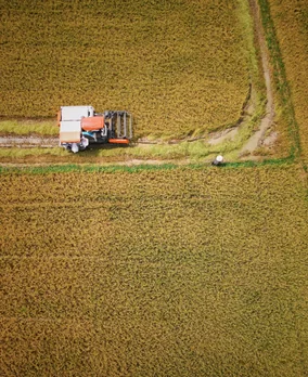 Traktor a megművelt táblán