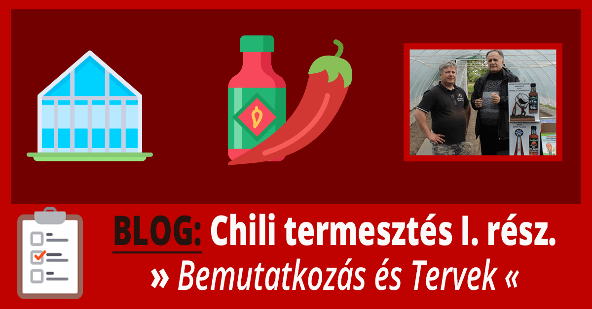 chili termesztés